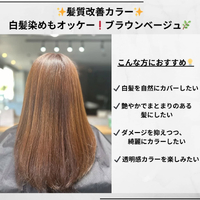 画像489