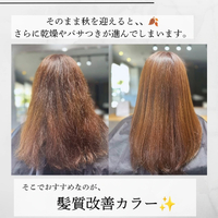 画像496