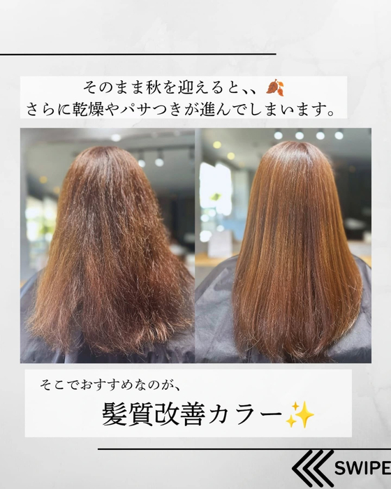 画像496