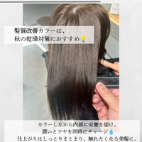画像497