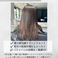 画像498