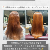 画像534