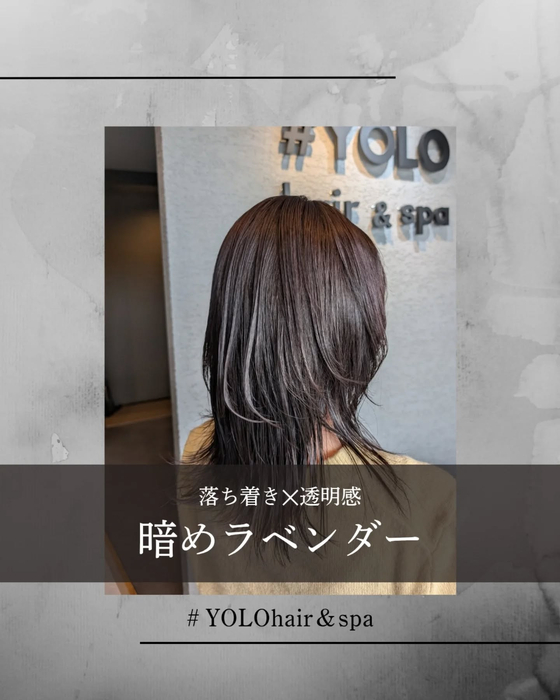 画像558