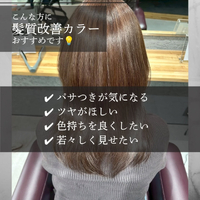 画像593