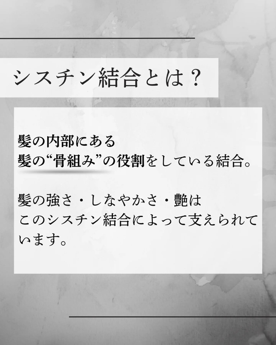 画像643