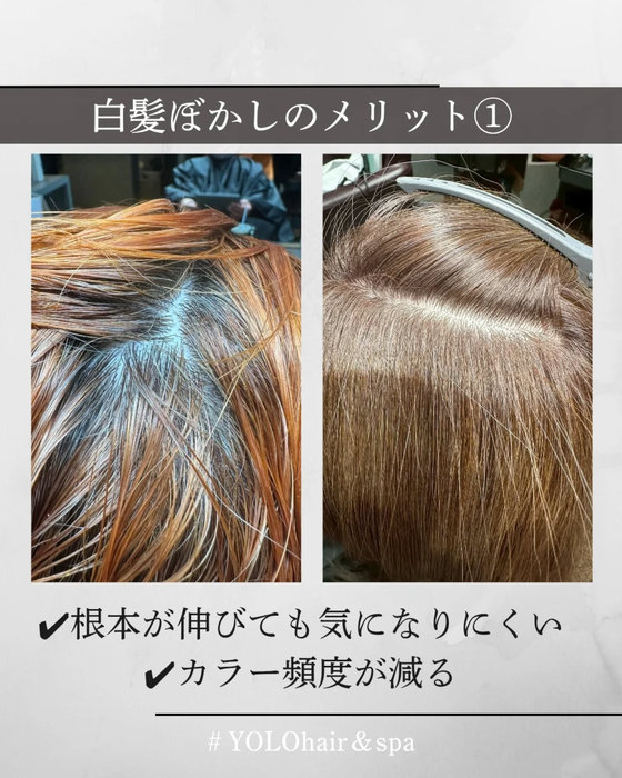 画像695