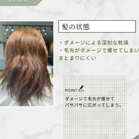 画像736